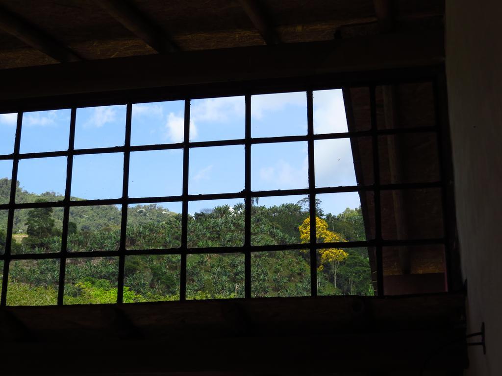 Jardin Utopia エクステリア 写真